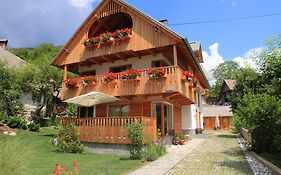 Apartments Vila Jelka